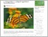 [thumbnail of Trópusi pillangók várják a látogatókat a szegedi egyetemi füvészkertben - Vásárhely24.pdf]