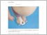 [thumbnail of Fókuszban az elhízás és szövődményei kezelése_Weborvos.hu.pdf]