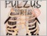 [thumbnail of pulzus_spiritus_2019_golyaszam.pdf]