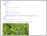 [thumbnail of szeged.hu - Feltérképezik az agresszíven terjedő növényfajokat a Szegedi Tudományegyetem kutatói.pdf]