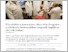 [thumbnail of Szegedi Tudományegyetem _ Elkezdődött a koronavírus elleni oltás Szegeden – a védekezés frontvonalában dolgozók kapták az első vakcinákat.pdf]